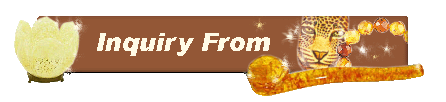 Inquiry